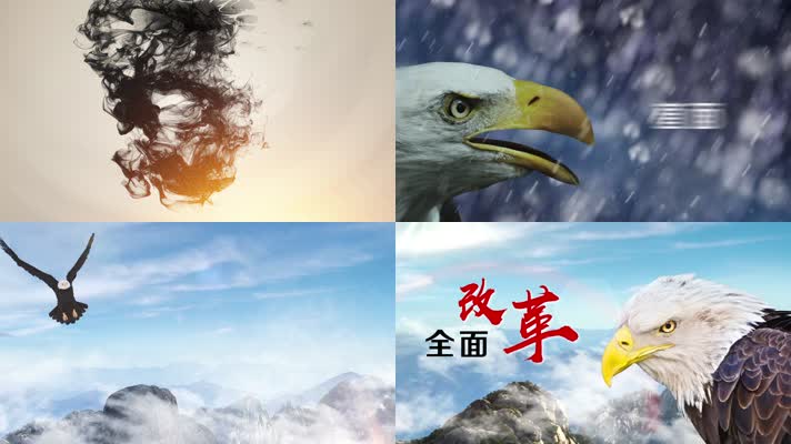 老鹰水墨开场片AE模板