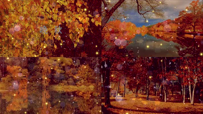 晚秋歌曲毛宁金秋配乐背景视频