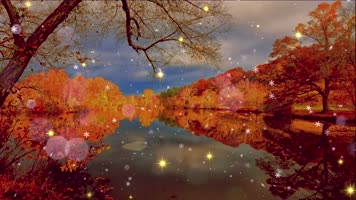 晚秋歌曲毛宁金秋配乐背景视频