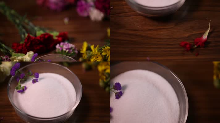 盐 糖 味精 淀粉 调料 白色粉末 (2