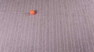 乒乓球 烧杯 分子实验 氨基酸 肽 蛋白