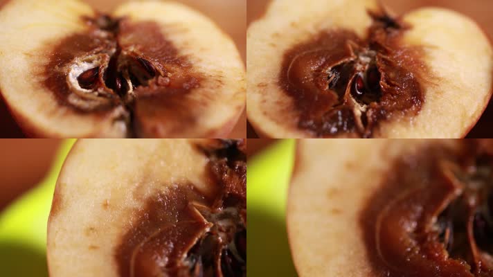 苹果 腐烂 黑心苹果 变质 病害 水果 