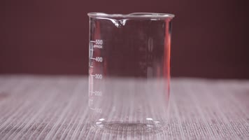 乒乓球 烧杯 分子实验 氨基酸 肽 蛋白