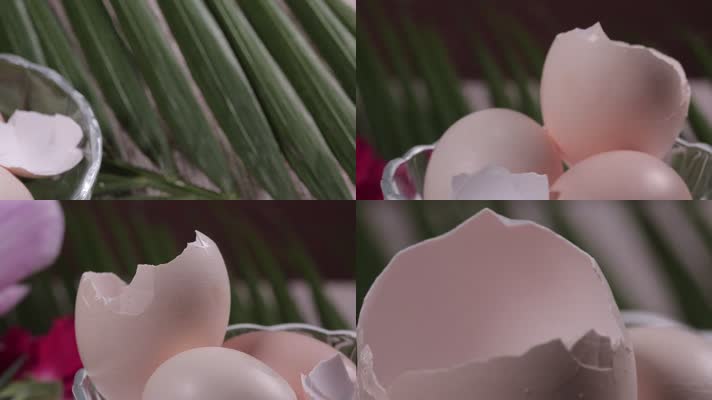 鸡蛋壳 搅拌机 破壁机 粉末 钙粉 (2