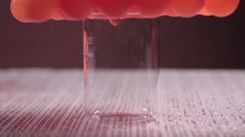 乒乓球 烧杯 分子实验 氨基酸 肽 蛋白