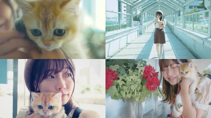 美女小猫，少女小猫，女孩小猫