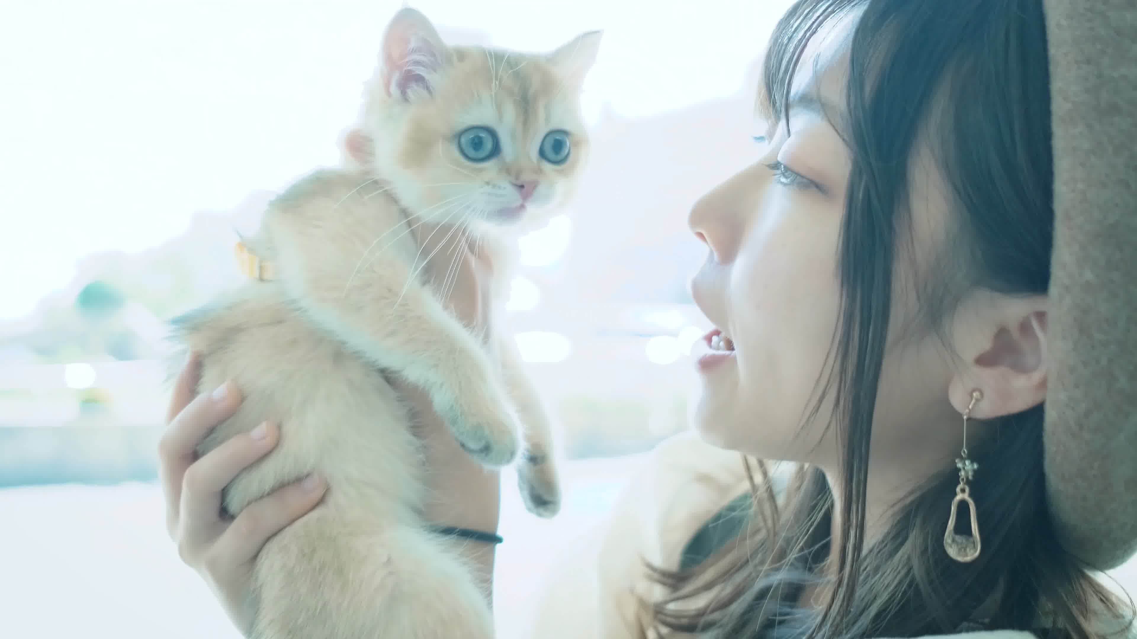 美女小猫，少女小猫，女孩小猫