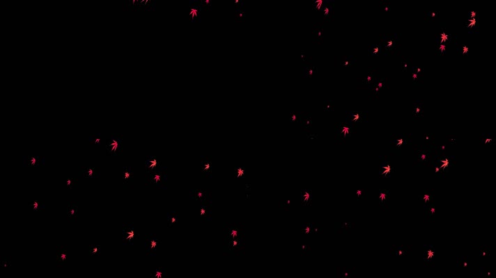 红色枫叶飘落透明通道视频