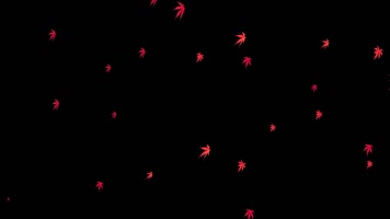 红色枫叶飘落透明通道视频