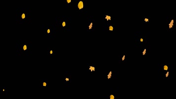 黄叶秋叶飘落透明通道视频