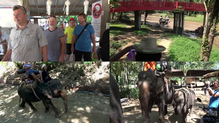 亚洲象，游客大象玩耍，骑象