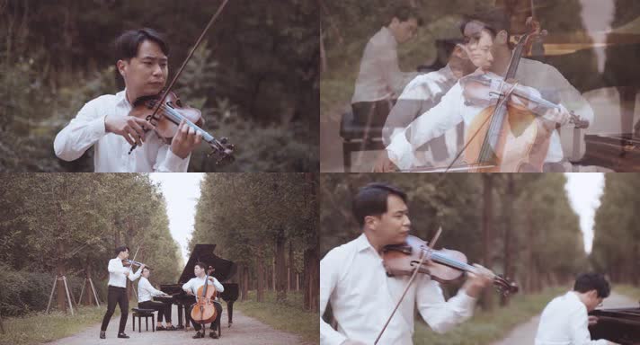 钢琴小提琴大提琴 (4)