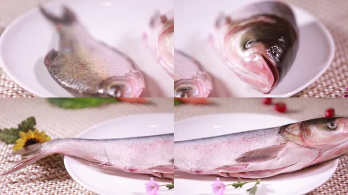 实拍河鲜胖头鱼和鱼头 (2)
