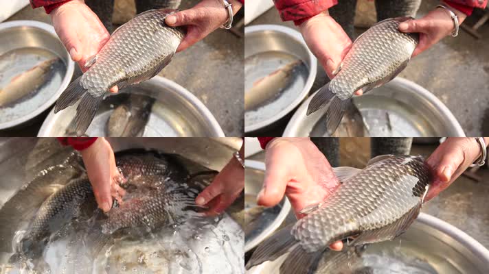 实拍天津海河边鱼类市场 (8)