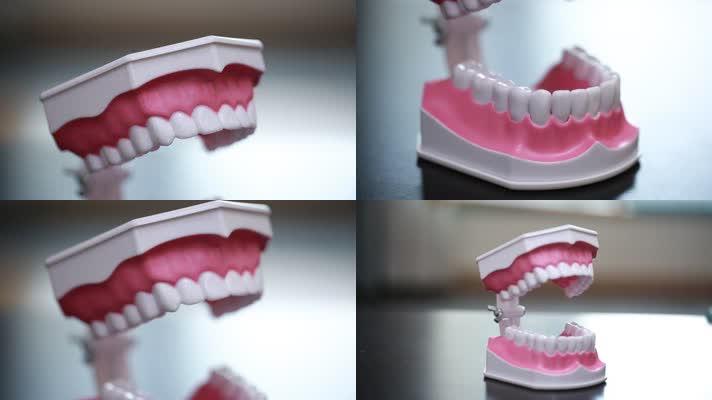 实拍牙齿模型演示刷牙 (1)