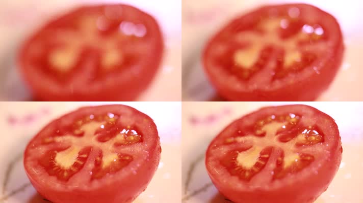 特写微距番茄切面西红柿种子 (8)