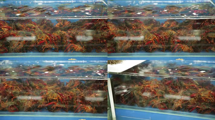 实拍菜市场商贩卖小龙虾 (5)