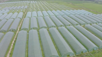 航拍 现代农业 蔬菜大棚 扶贫产业