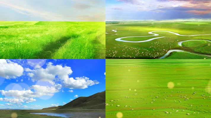 《草原恋》歌曲配乐草原恋MV