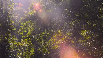 山间小溪流空境集合2