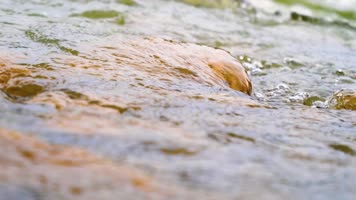 【商用版权】4K唯美意境小溪流水合集