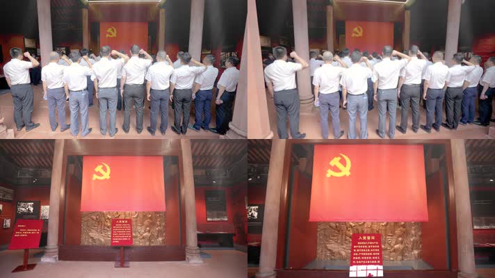 【商用版权】100周年入党宣誓仪式形象