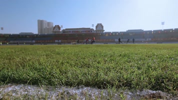 体育场视频足球场草地划线特写