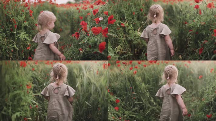 高清快乐的童年小女孩在田野奔跑