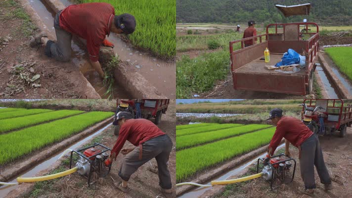 4k农村农民视频农民抽水灌溉田地