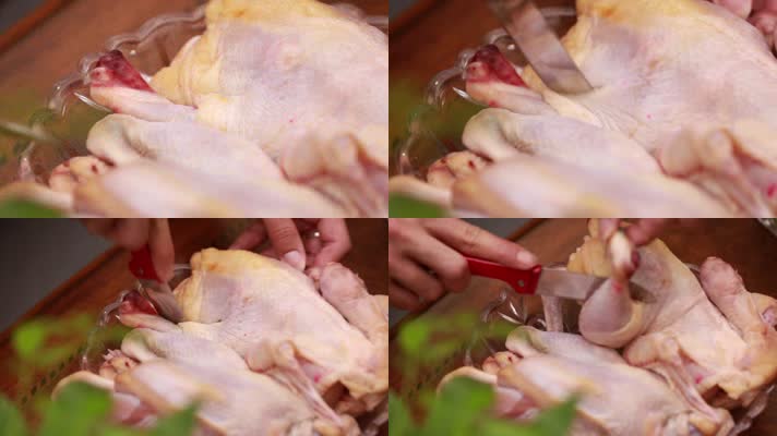 甲醛处理死鸡肉 (7)