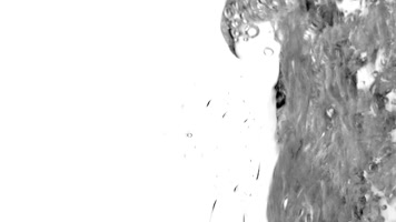 水花溅起 流体 水滴  