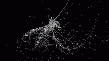 水花溅起 流体 水滴 