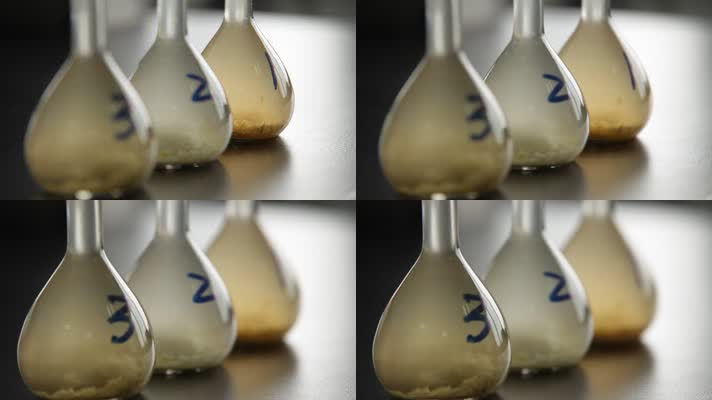 实验室检测榨菜亚硝酸盐 (17)