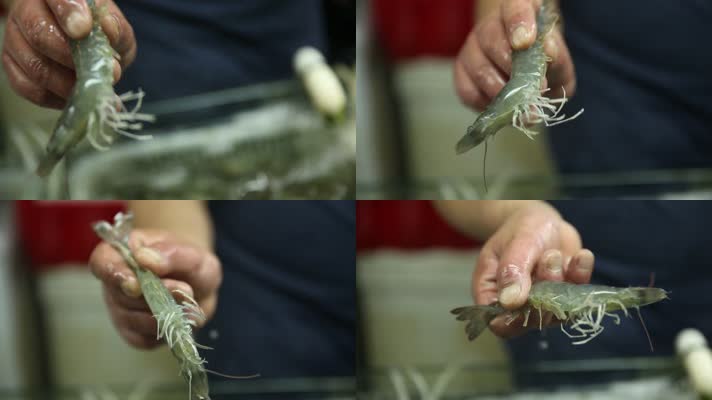 海鲜市场花蛤螃蟹虾 (15)