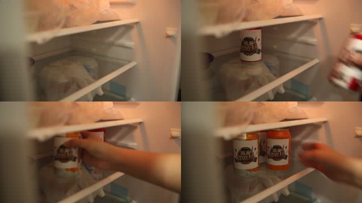 冰箱冷藏储存食物 (30)