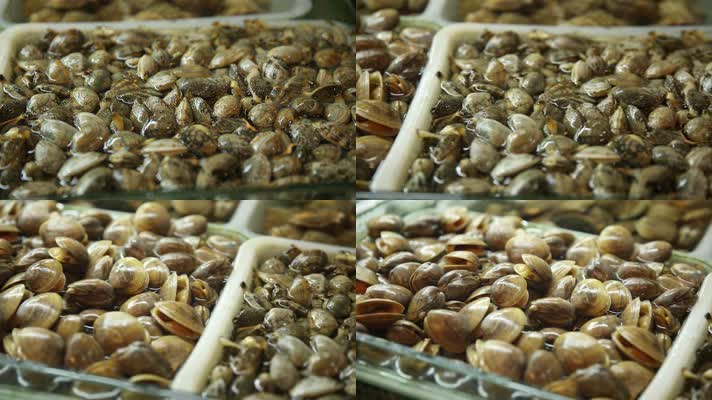 海鲜市场花蛤螃蟹虾 (2)