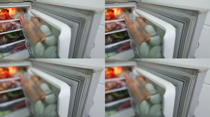 冰箱冷藏储存食物 (3)