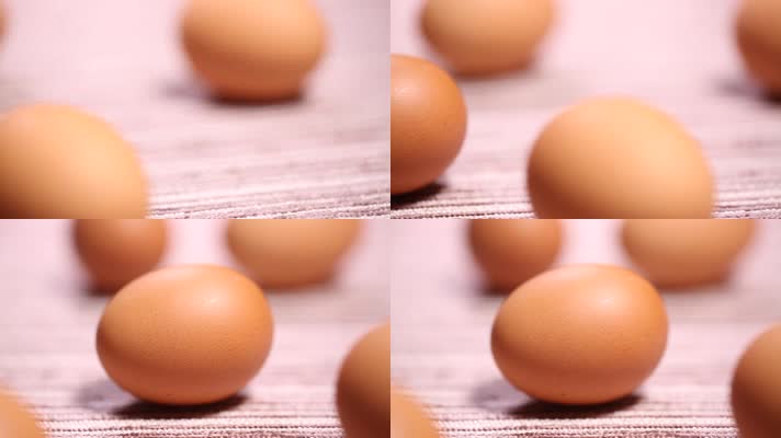 食材鸡蛋蛋白质 (9)