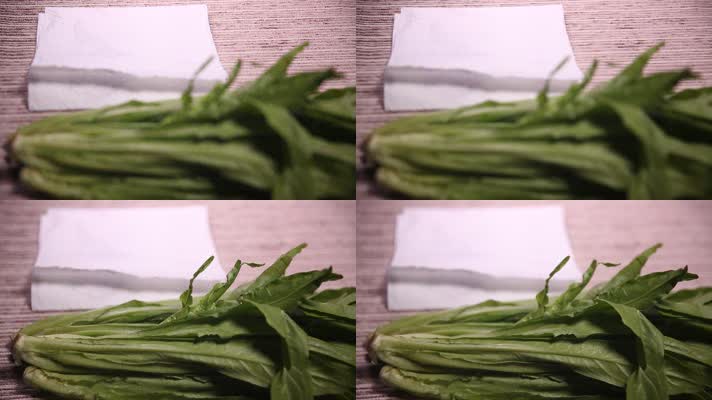 厨房纸保鲜青菜 (3)