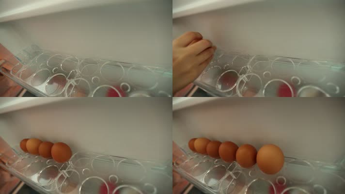 冰箱冷藏储存食物 (19)