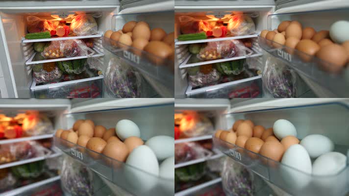 冰箱冷藏储存食物 (1)
