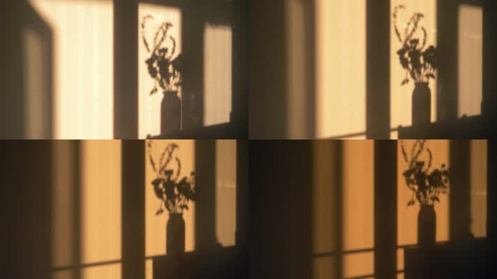 傍晚夕阳下花瓶光影变化4k延时视频素材