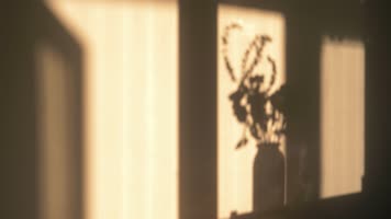 傍晚夕阳下花瓶光影变化4k延时视频素材