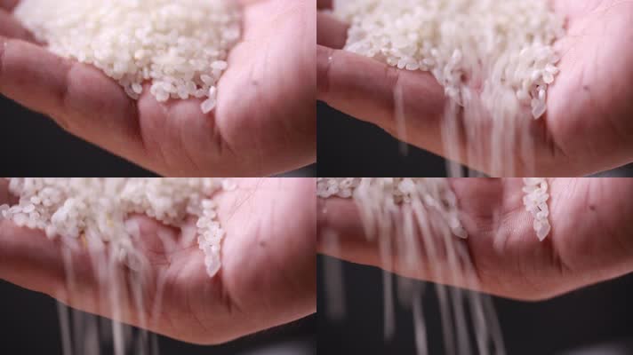 各种大米水稻 (7)