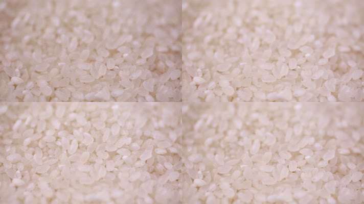 各种大米水稻 (3)