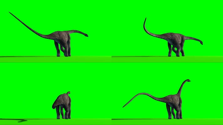 恐龙 绿幕抠像 三维恐龙 