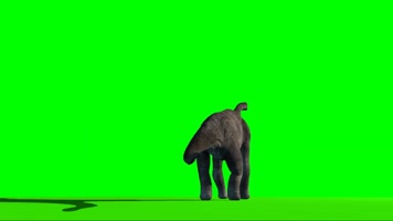 恐龙 绿幕抠像 三维恐龙 