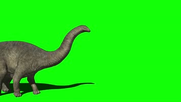 恐龙 绿幕抠像 三维恐龙  