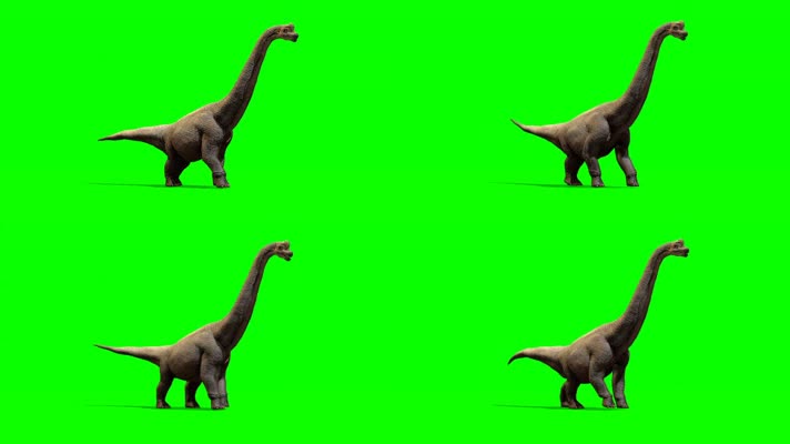 恐龙 绿幕抠像 三维恐龙  