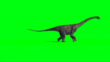 恐龙 绿幕抠像 三维恐龙  
